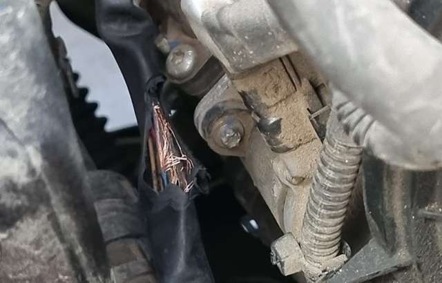 Cardinia Auto Electrical workshop gallery image