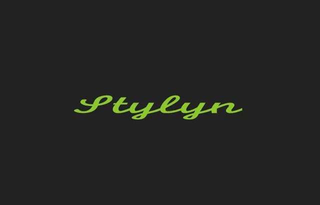 Stylyn Car Audio workshop gallery image
