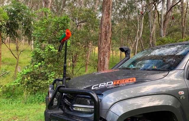 CRD Tech Darling Downs workshop gallery image