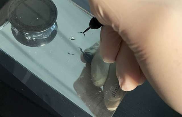 Screensaver Chip Repairs workshop gallery image