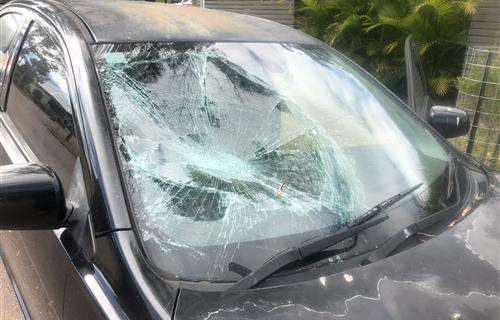 Vision Autoglass workshop gallery image