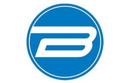 Bergmans Auto Group image