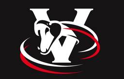 Viper Automotive Care image