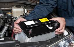 Batt Assist Now Group Fraser Coast image