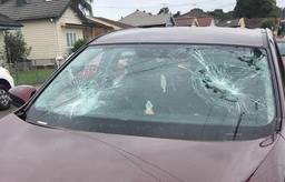 Action Mobile Windscreens image