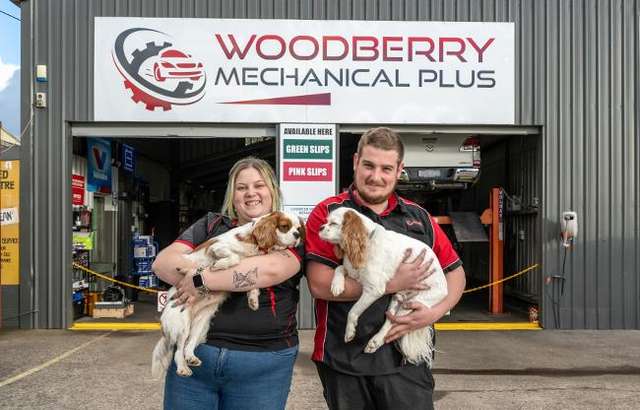 Woodberry Mechanical Plus workshop gallery image