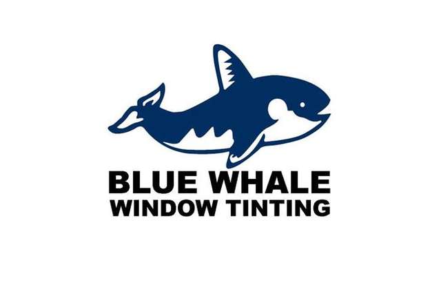Blue Whale Window Tinting workshop gallery image