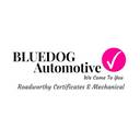 BlueDog Automotive  Gympie profile image
